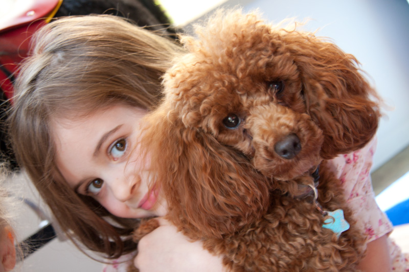 ScarlettCadamoncolour