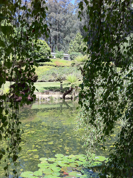 Rhodogardens2