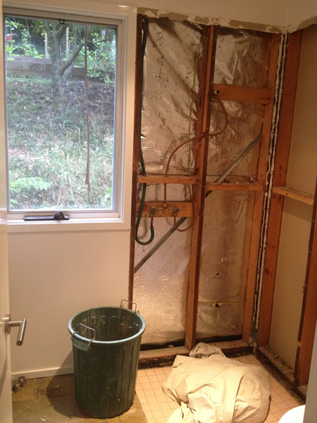 This is the current state of the ensuite shower. Much improved I say!